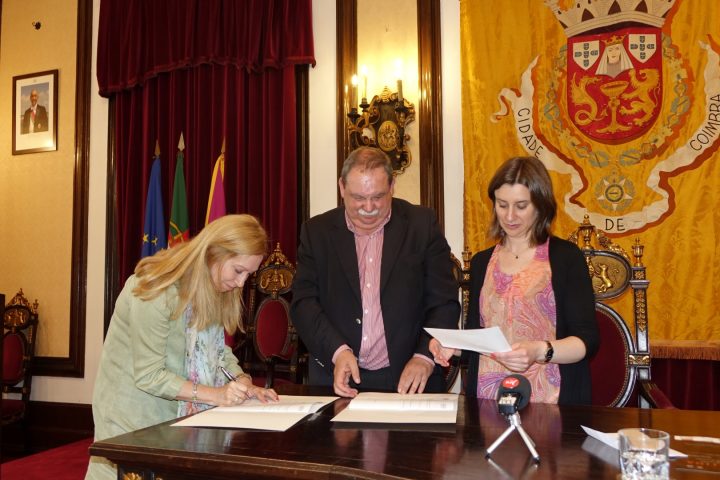 Protocolos 198 Large